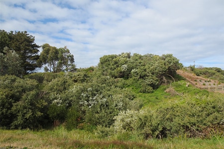 For Sale By Owner Review: Sarah Monaghan - Venus Bay, VIC