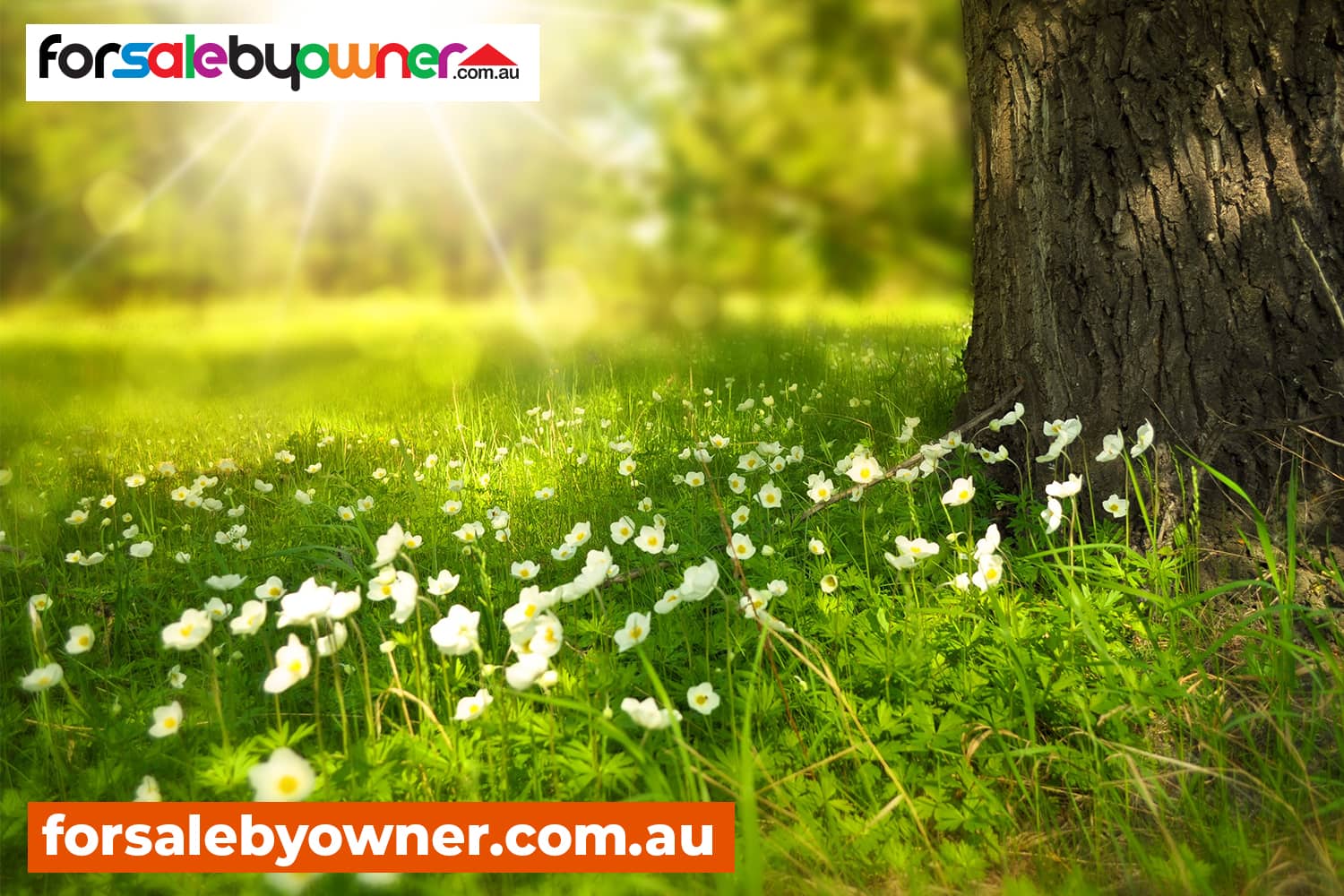 Sell My Land | How To Sell Land Privately In Australia