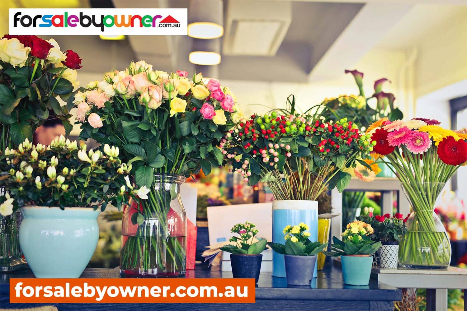 Sell My Business NSW